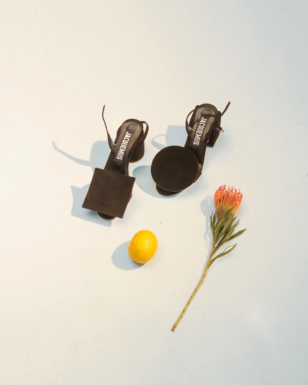 Anastasia Yovanovskaya